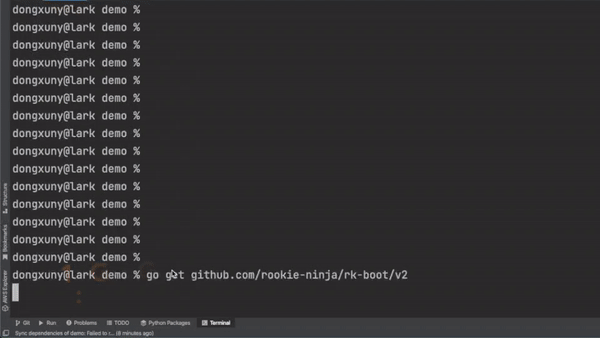 rk-boot demo